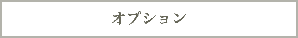 オプション